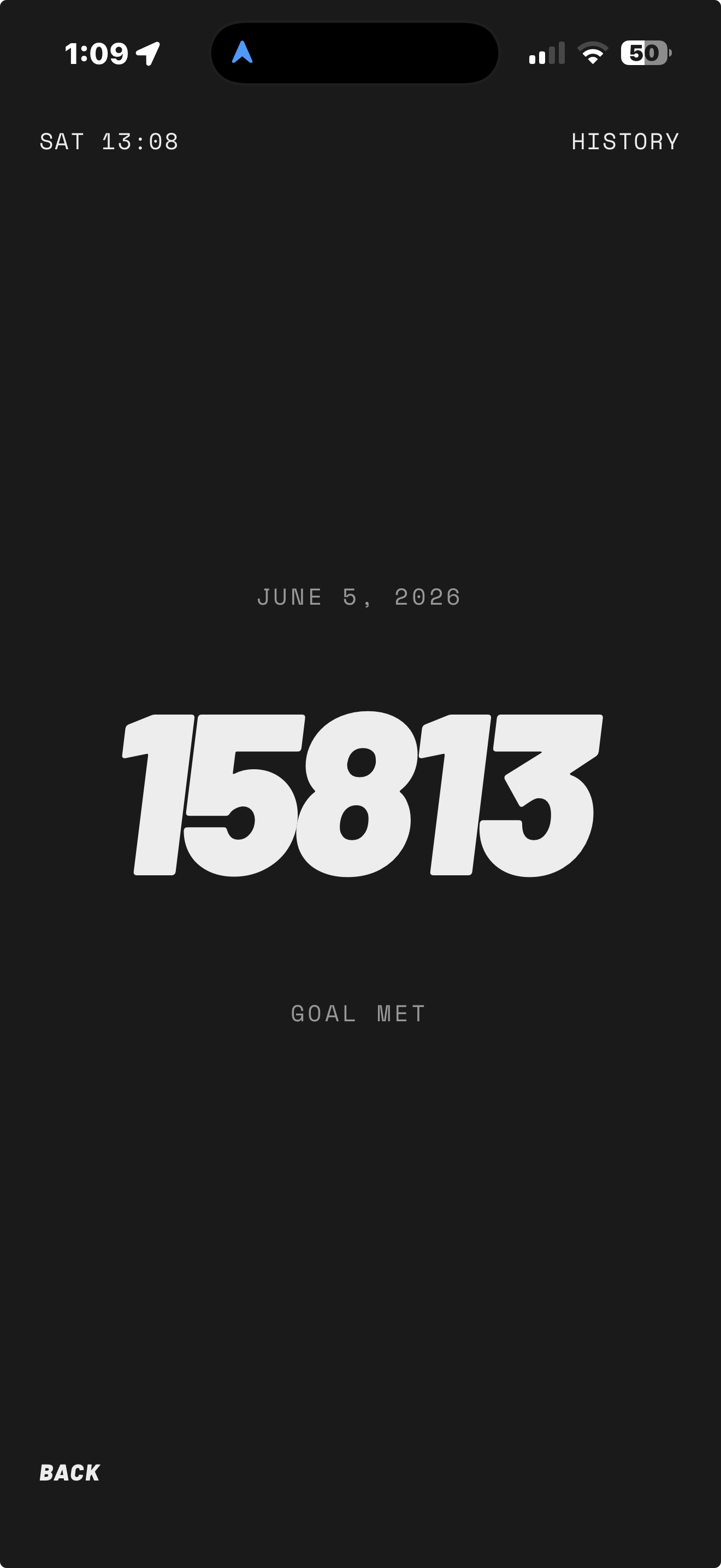 A single day: the number, and whether you hit it.