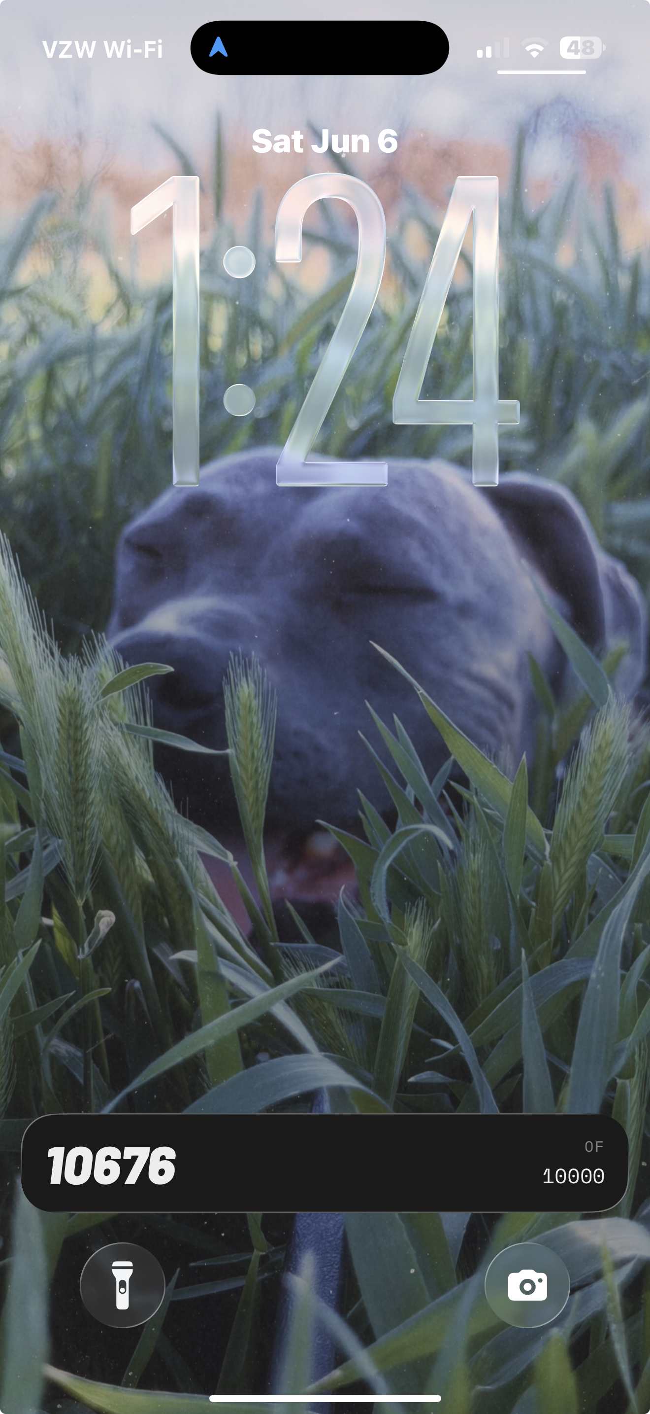 Live step count on the Lock Screen, against your own wallpaper.